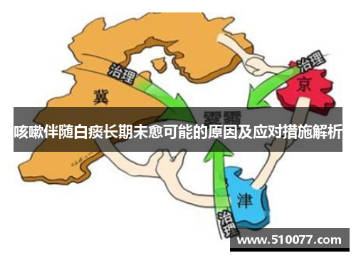 咳嗽伴随白痰长期未愈可能的原因及应对措施解析