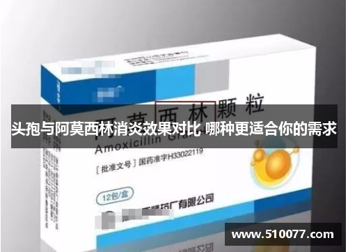 头孢与阿莫西林消炎效果对比 哪种更适合你的需求
