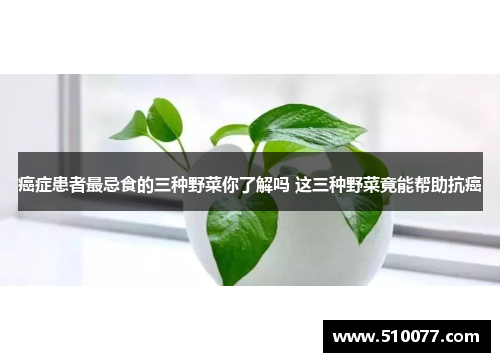 癌症患者最忌食的三种野菜你了解吗 这三种野菜竟能帮助抗癌