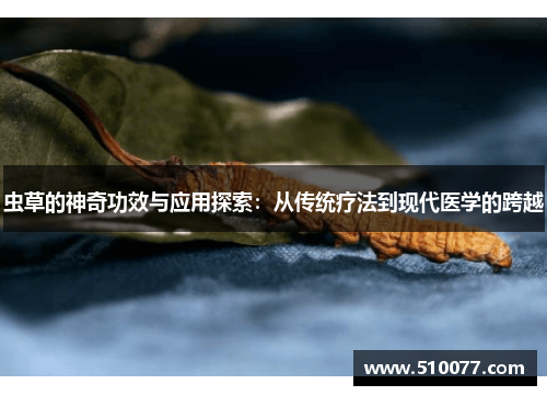 虫草的神奇功效与应用探索：从传统疗法到现代医学的跨越